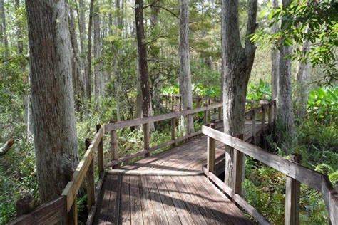 Calusa nature center & planetarium fort myers fl - See Condo 1215 for rent at 2937 Winkler Ave in Fort Myers, FL from $1200 plus find other available Fort Myers condos. ... Help Center; English. Language. English Español. Manage Rentals Sign Up / Sign In. ... Calusa Nature Center & Planetarium, and Edison and Ford Winter Estates. You May Also Like. 19093 Cresenzo Ct. Fort Myers, FL 33967. 3 Br ...
